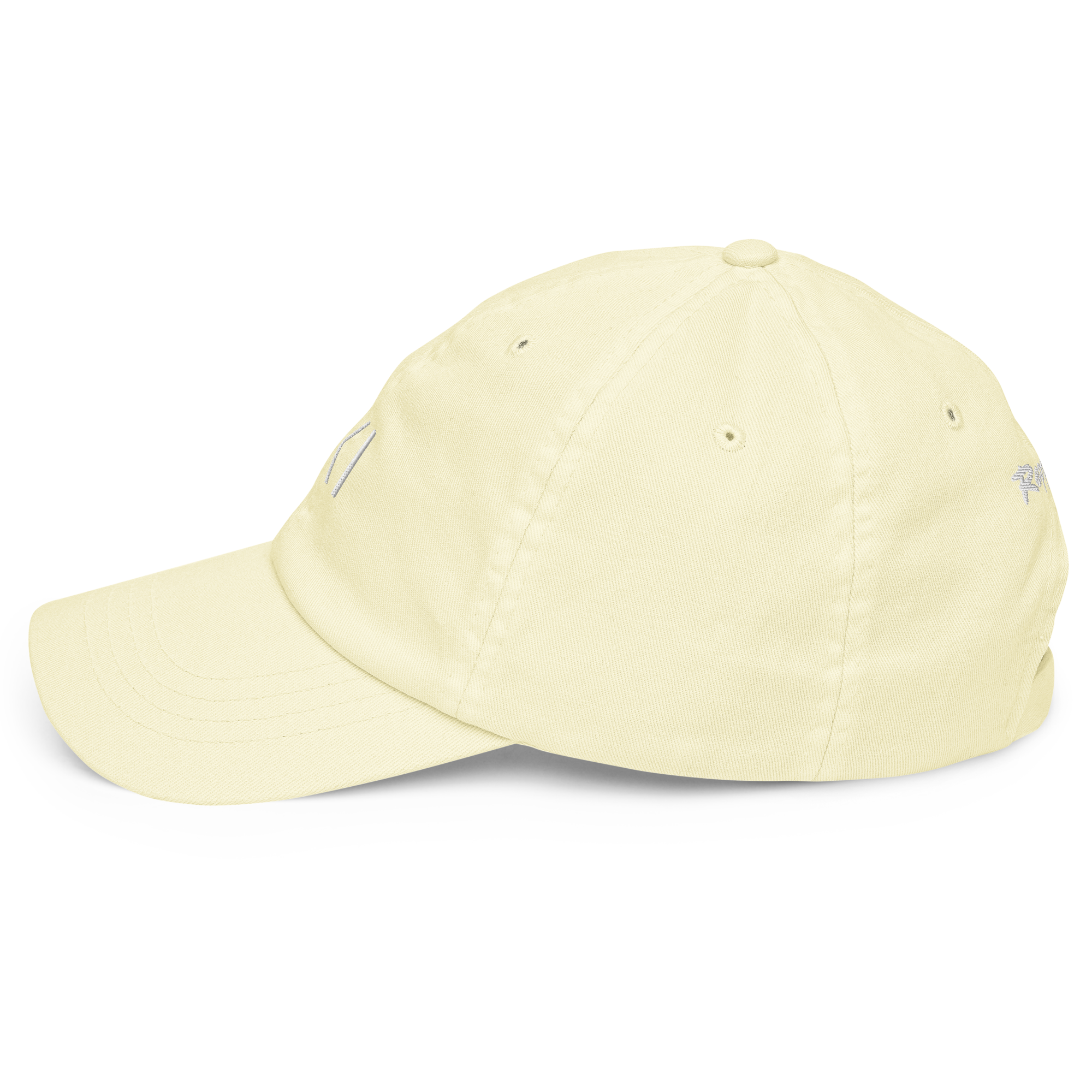 HKI Pastel Dad Hat